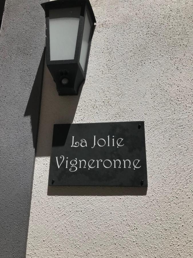 La Jolie Vigneronne Βίλα Marseillan  Εξωτερικό φωτογραφία